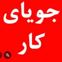 دانشجوی حقوق هستم جویای کار