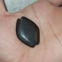 سنگ،نگین،مهره،اصلی شرطی