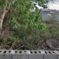 زمین مسکونی،۱۷۱متری،رشت،نیرودریایی