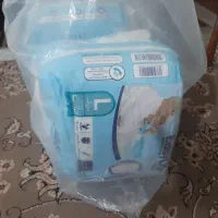 ایزی لایف شورتی