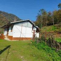 ویلا سنتی تک خوابه نیلاش|اجارهٔ کوتاه‌مدت ویلا و باغ|شاندرمن, |دیوار