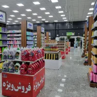 جذب نیروی حراست و نیروی مرغی