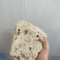 مرجان دریایی طبیعی توضیحات خوانده شود