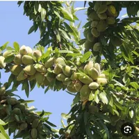 نیازمند کارگر