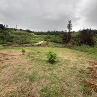 زمین ویودار،280 متر،مناسب کلبه چوبی|فروش زمین و ملک کلنگی|مرزیکلا, |دیوار