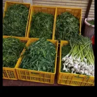 فروشگاه ریحان سبز پرند|خوردنی و آشامیدنی|پرند, فاز ۲|دیوار