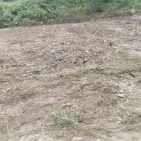 زمین سنددار درروستای  چیرپردزمان جاده زیباکنار|فروش زمین و ملک کلنگی|رشت, حومه رشت|دیوار