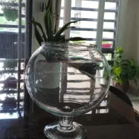 تنگ شیشه ای ترک کاملاسالم سایز بزرگ