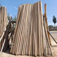 خرید انواع چوب کلی و جزئی به بالاترین قیمت|خدمات باغبانی و درختکاری|نیشابور, مازول|دیوار