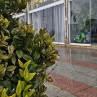 استخدام مشاور حرفه ای با سابقه کار ثابت و پورسانت|استخدام بازاریابی و فروش|رباطکریم, انجم آباد|دیوار