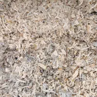 تفاله چغندر