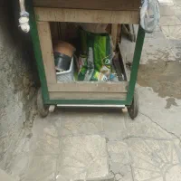 چرخ کاسبی