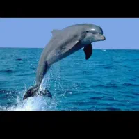 فقط۱۲۵۰۰۰۰ تومان ازصبح تا ۴ عصر