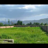 زمین-باغی