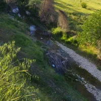 باغ 1500متری،معاوضه با خودرو|فروش زمین و ملک کلنگی|کارزان, |دیوار