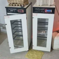 دستگاه جوجه کشی