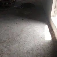 سالن کارگاه 125متر برق3فاز 25امپر|اجارهٔ دفتر صنعتی، کشاورزی، تجاری|مشهد, میان ولایت|دیوار