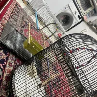 قفس پرنده|لوازم جانبی حیوانات|مشهد, محمدآباد|دیوار