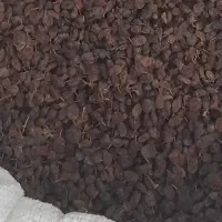 شیره انگور . شیره خرما . کشمش . باسلوق|خوردنی و آشامیدنی|قم, امامزاده ابراهیم|دیوار