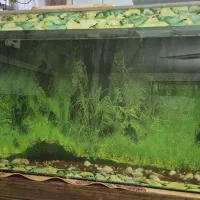 آکواریوم بزرگ