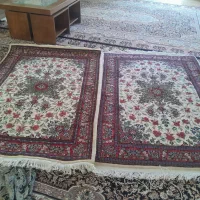 قالی زرنیم|فرش|ساروق, |دیوار