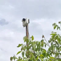 دوربین مداربسته شرکت نگهبان سیستم