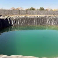 انواع ماهی فیتوفاگ و گرمابی