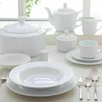 سرویس جذاب چینی سفید زرین