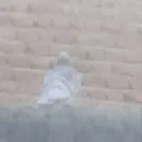 ین کبوتر گمشده