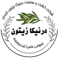 بازاریابی شرکت درنیکا زیتون کرمان