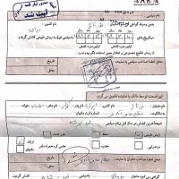 فروش اسب اصیل عرب دو سر عرب خالص|اسب و تجهیزات اسب‌سواری|بندرعباس, |دیوار