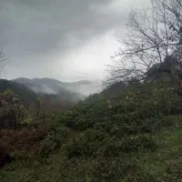 فروش زمین کوهپایه ای