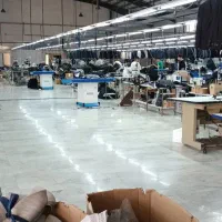 حسابدار تمام وقت خانم