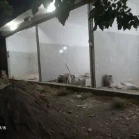 مغازه رهن اجاره  شاهنامه ۶۷|اجارهٔ مغازه و غرفه|مشهد, توس فردوسی|دیوار