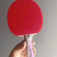 راکت پینگ پنگ یینه