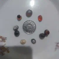 کلکسیون سکه|کلکسیون سکه، تمبر، اسکناس|نیشابور, فردوسی جنوبی|دیوار