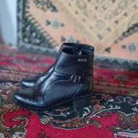 نیم بوت سالم ونو|کیف، کفش، کمربند|لنگرود, |دیوار