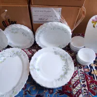 ارکوپال ۵ماه|ظروف سرو و پذیرایی|خاش, |دیوار