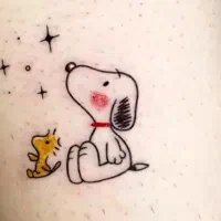 تخفیف یلدایی مژه