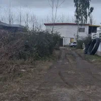 زمین با پروانه ساخت در منطقه آزاد زیباکنار