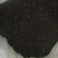 سیاه دانه