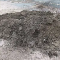 کود بوقلمون|خدمات باغبانی و درختکاری|نیشابور, ریوند|دیوار