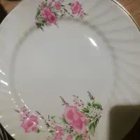 چینی|ظروف سرو و پذیرایی|همدان, |دیوار