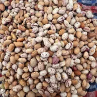 چیتی|خوردنی و آشامیدنی|الیگودرز, |دیوار