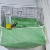 فروش سهره اهوازی