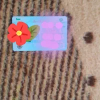 کارت ملی گم شده
