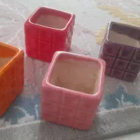 گلدون و گل