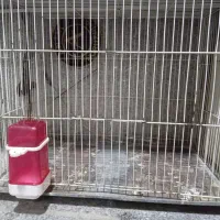 قفس طول ۵۰ عرض۳۰