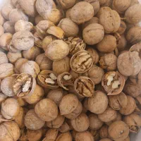 کاغذی پوست نازک|عمدهفروشی|نهاوند, |دیوار