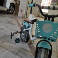 دوچرخه|دوچرخه، اسکیت، اسکوتر|بهار, |دیوار